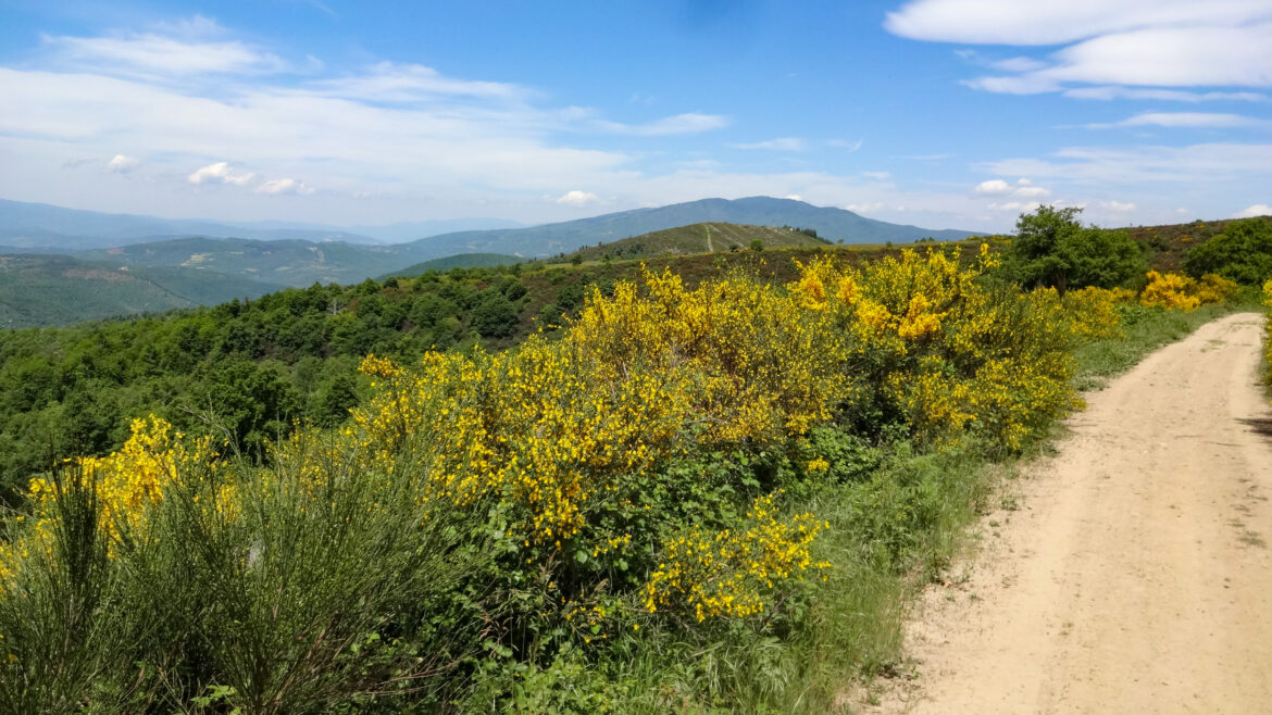 Biking Anghiari Biking Anghiari, Toscana, Italy