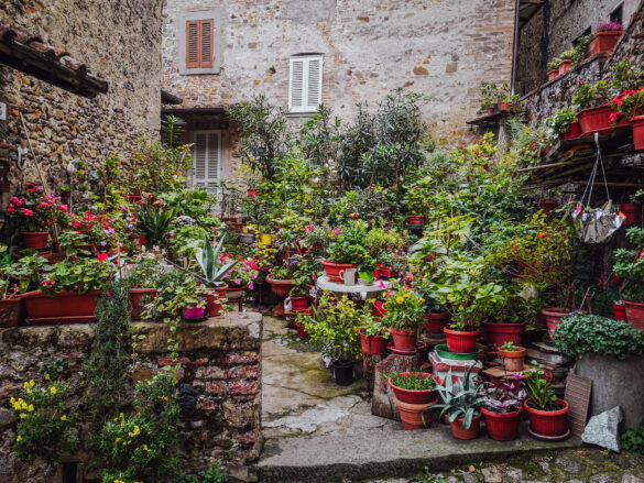 Flower scene in Anghiari Flower scene in Anghiari, Toscana, Italy
